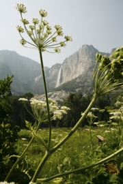 upper_yosemite_waterfall