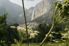 upper_yosemite_waterfall